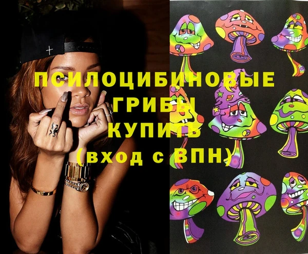 ECSTASY Армянск